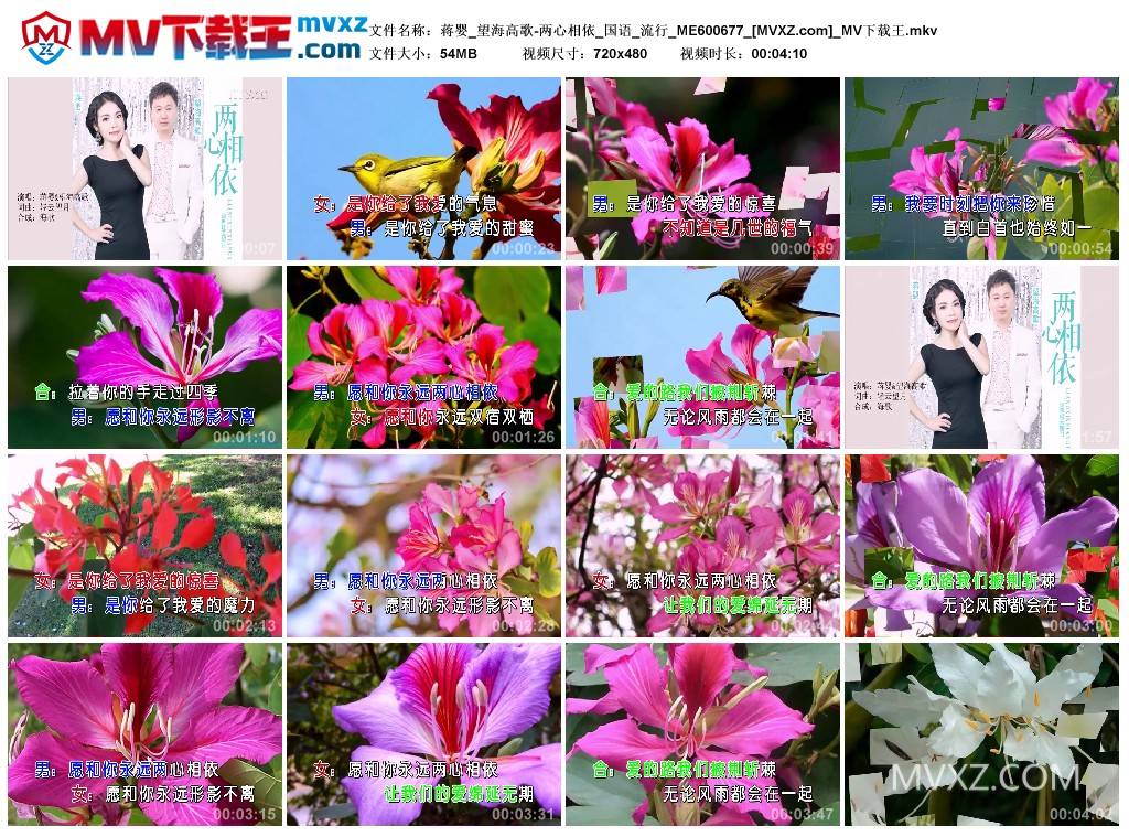 蒋婴_望海高歌-两心相依_国语_流行_ME600677